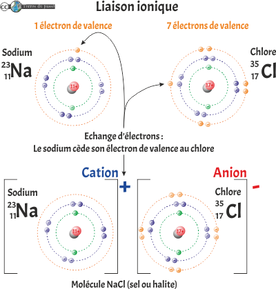 liaison ionique entre le Na et le Cl pour donner le NaCl, la halite 