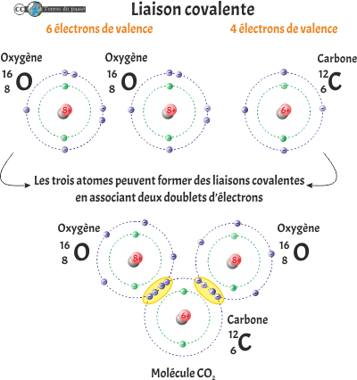 liaison covalente CO2