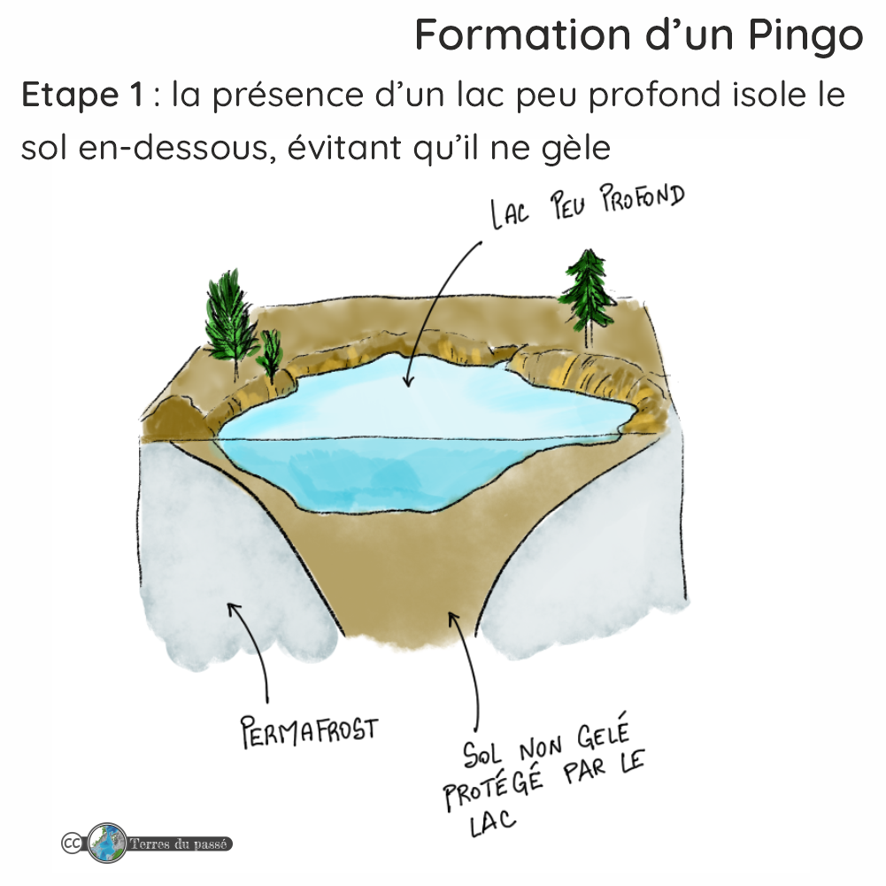 Etape 1 de formation d'un pingo - le lac en environnement p&eacute;ri-glaciaire/avec permafrost (ou perg&eacute;lisol) proche