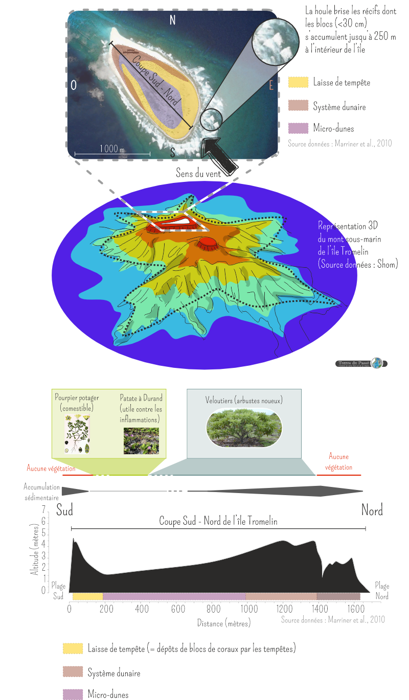 Caractéristiques morphologiques et environnementales de l'île Tromelin