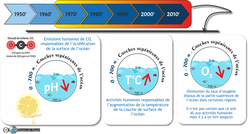 acidification, augmentation de température et baisse du taux d'oxygène de la surface de l'océan au cours des 50 dernières années - rapport du GIEC 2022