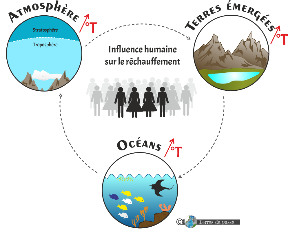 Influence de l'humain sur le réchauffement de l'océan, de l'atmosphère et des terres émergées
