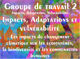 Groupe de travail II :