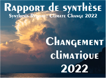 Rapport de synthèse